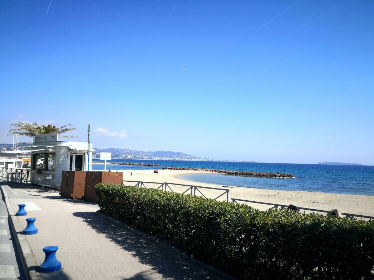 Studio Cannes Marina Mandelieu La Napoule Bagian luar foto